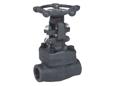 Forged Globe Valve