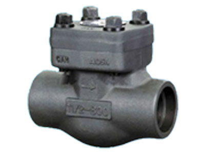 Lift Check Valve